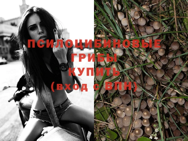 гашишное масло Алзамай
