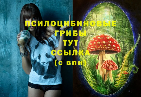 ALPHA PVP Алексин