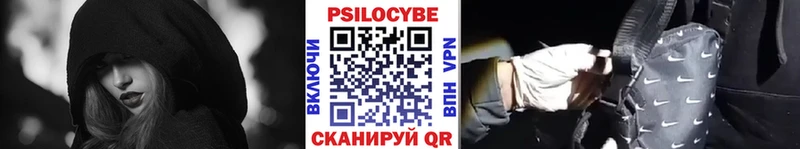 цены наркотик  Сураж  Галлюциногенные грибы Psilocybe 